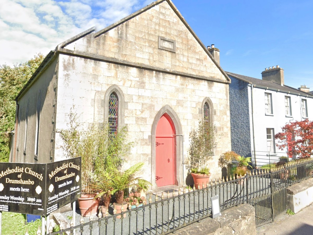 ‘Wildlife, Art & Ireland’: conversations with Éanna Ní Lamhna & Cathy Fitzgerald, Drumshanbo, Co. Leitrim, Sat 29 March,&nbsp;3pm