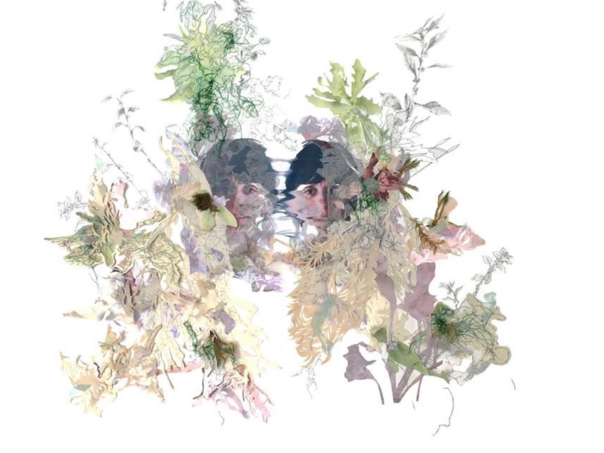 Presenting Haumea Ecoversity &  the Hollywood Forest Story at Sorbonne Nouvelle  for ‘Art Activism Ecoart Activities in Ireland&nbsp;seminar’