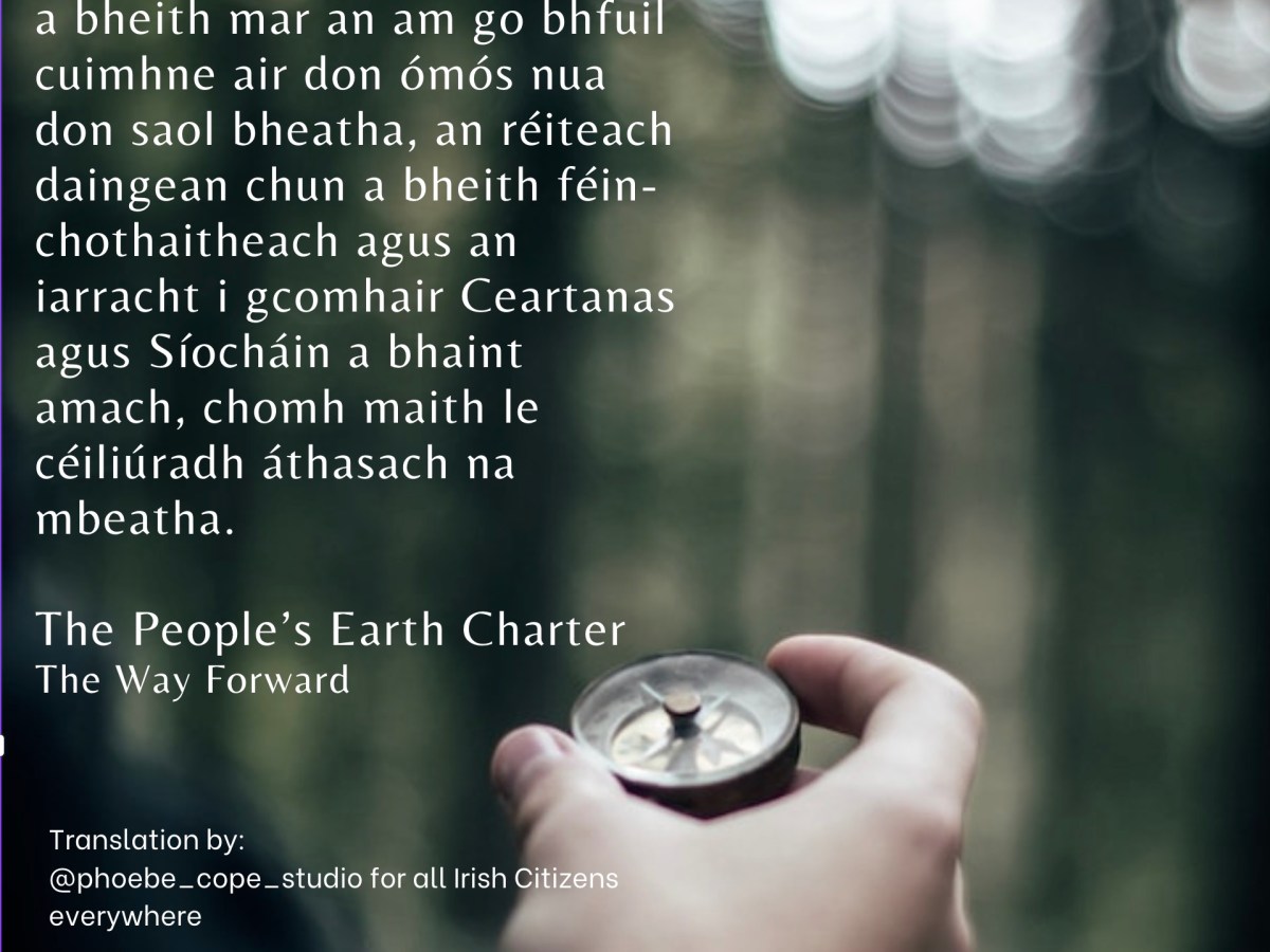 Earth Charter in Irish to be presented at The Peace Palace, The Hague, Netherlands, for international Earth Charter 25+ anniversary&nbsp;event
