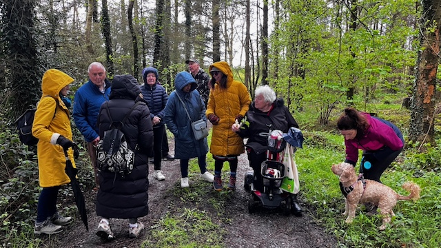 Wonderful group of older-creatives visiting Cathy Fitzgerald's ongoing Hollywood Forest Story rewilding project begun in 2008. Photo Cathy Fitzgerald 2023.
