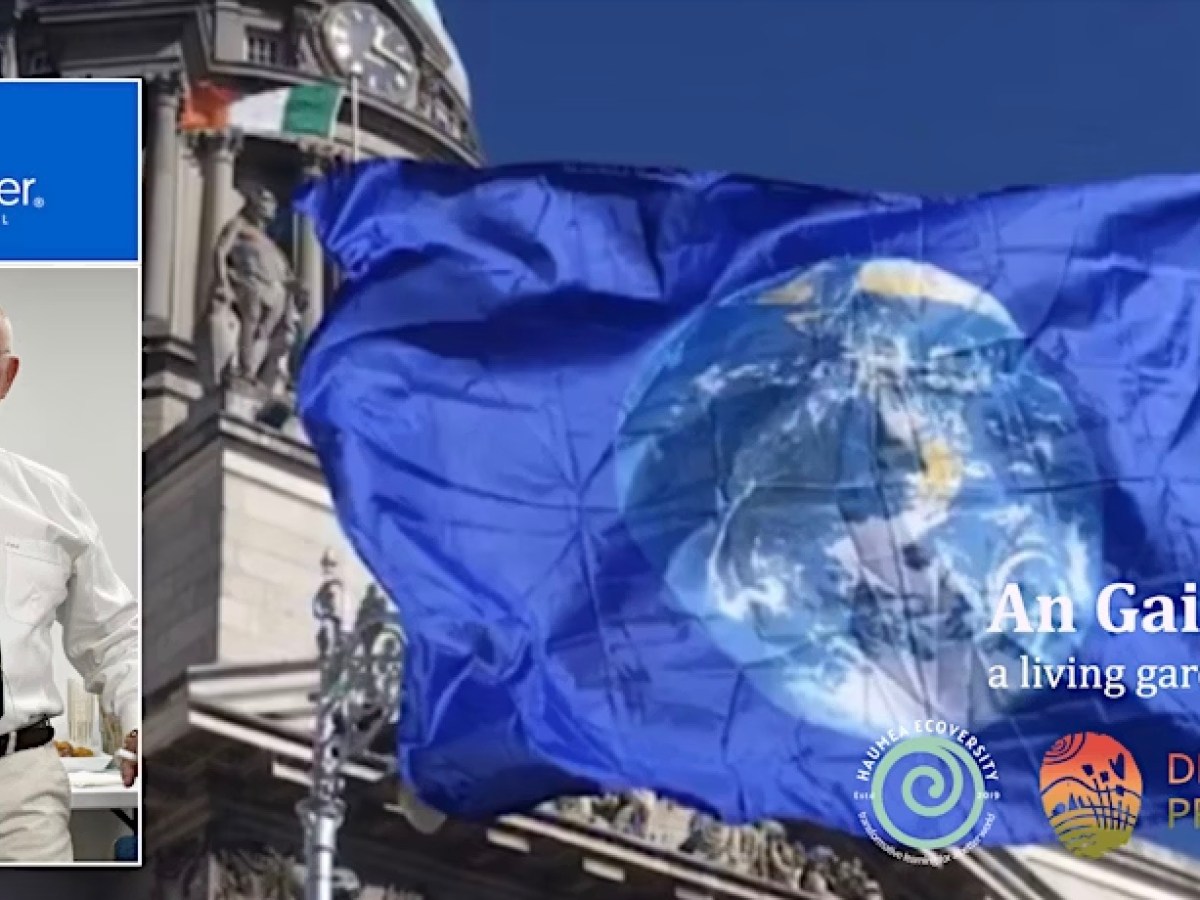 Prof Peter Blaze Corcoran-‘The Earth Charter at 25: History, Action, Possibility’ — free talk at Carlow’s An Gaírdín Beo, 18&nbsp;June