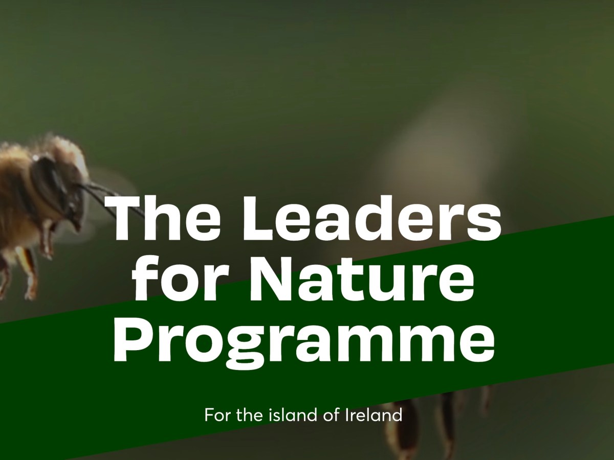 Visionary New Irish Leaders for Nature&nbsp;Programme