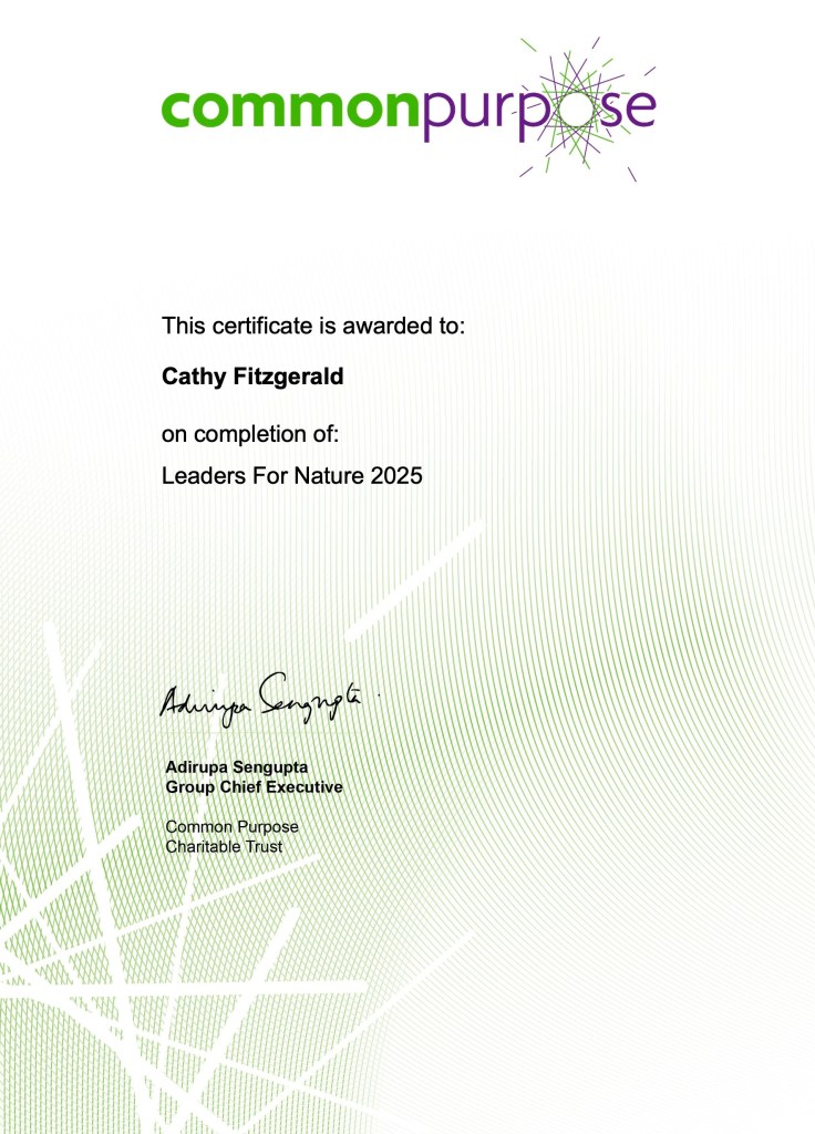 My certificate of completion