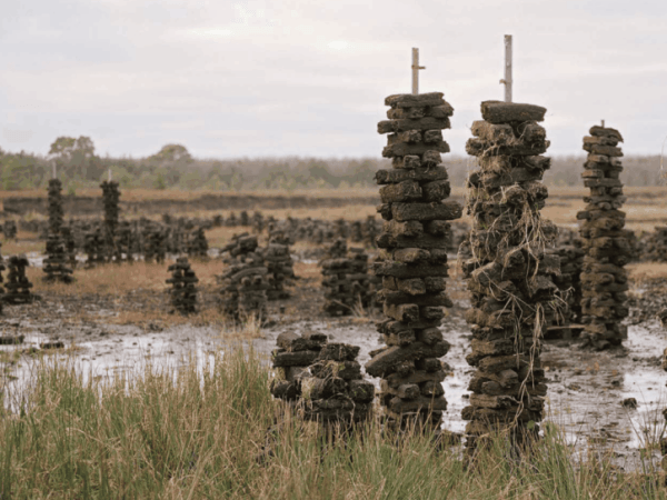 Cathy Fitzgerald – Haumea Ecoversity ecoliteracy and Earth Charter learning  included in new Guide for Wetland Communities Engaging in Creative&nbsp;Projects